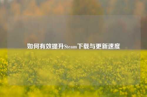 如何有效提升Steam下载与更新速度