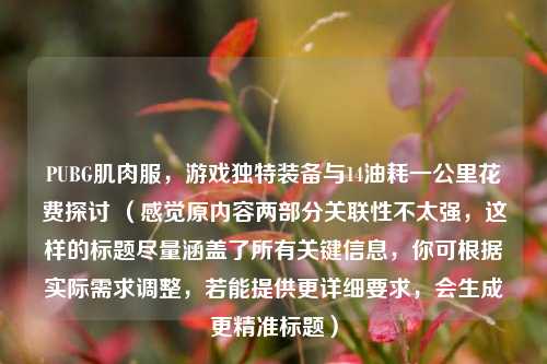 PUBG肌肉服,游戏独特装备与14油耗一公里花费探讨 (感觉原内容两部分关联性不太强,这样的标题尽量涵盖了所有关键信息,你可根据实际需求调整,若能提供更详细要求,会生成更精准标题)