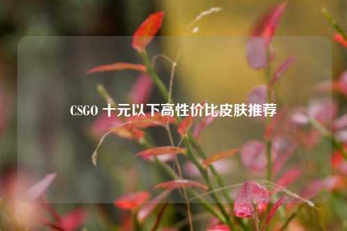 CSGO 十元以下高性价比皮肤推荐