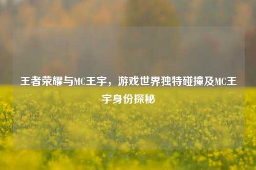 王者荣耀与MC王宇，游戏世界独特碰撞及MC王宇身份探秘