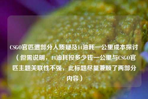 CSGO官匹遭部分人质疑及14油耗一公里成本探讨 （但需说明，14油耗投多少钱一公里与CSGO官匹主题关联性不强，此标题尽量兼顾了两部分内容）