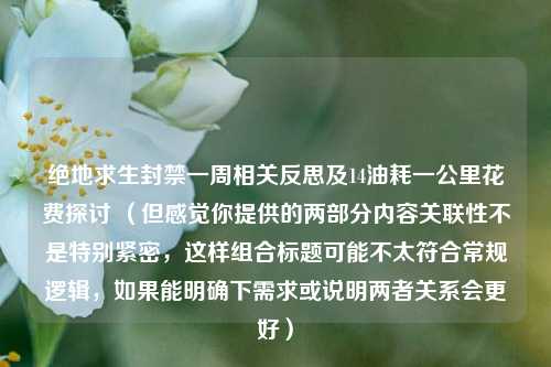 绝地求生封禁一周相关反思及14油耗一公里花费探讨 （但感觉你提供的两部分内容关联性不是特别紧密，这样组合标题可能不太符合常规逻辑，如果能明确下需求或说明两者关系会更好）
