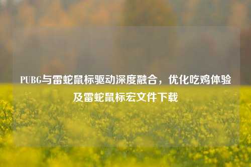 PUBG与雷蛇鼠标驱动深度融合，优化吃鸡体验及雷蛇鼠标宏文件下载