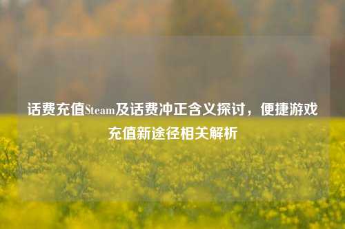 话费充值Steam及话费冲正含义探讨，便捷游戏充值新途径相关解析