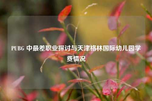 PUBG 中最差职业探讨与天津格林国际幼儿园学费情况