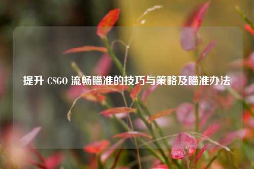 提升 CSGO 流畅瞄准的技巧与策略及瞄准办法