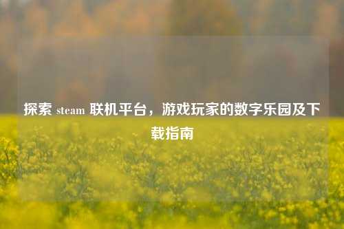 探索 steam 联机平台,游戏玩家的数字乐园及下载指南