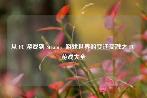 从 FC 游戏到 Steam，游戏世界的变迁交融之 FC 游戏大全