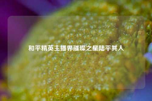和平精英主播界璀璨之星陆平其人