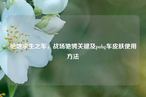 绝地求生之车，战场驰骋关键及pubg车皮肤使用方法