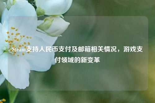 Steam支持人民币支付及邮箱相关情况，游戏支付领域的新变革