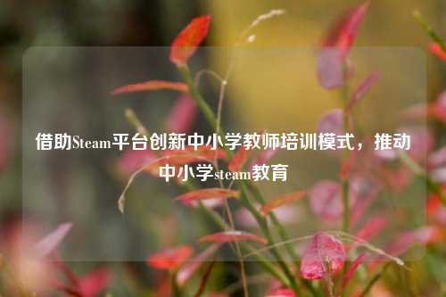 借助Steam平台创新中小学教师培训模式,推动中小学steam教育