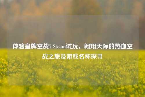 体验皇牌空战7 Steam试玩,翱翔天际的热血空战之旅及游戏名称探寻