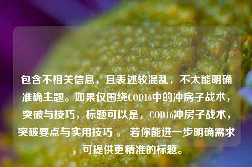 包含不相关信息，且表述较混乱，不太能明确准确主题。如果仅围绕COD16中的冲房子战术，突破与技巧，标题可以是，COD16冲房子战术，突破要点与实用技巧 。 若你能进一步明确需求，可提供更精准的标题。