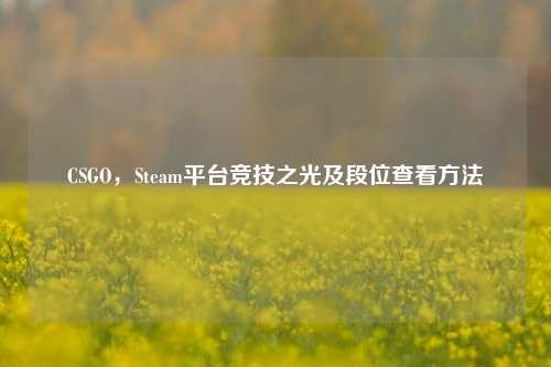 CSGO，Steam平台竞技之光及段位查看方法
