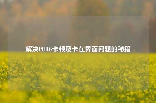 解决PUBG卡顿及卡在界面问题的秘籍