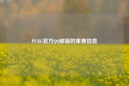 PUBG官方QQ邮箱的重要信息