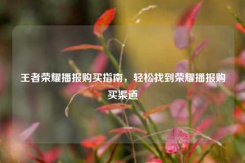 王者荣耀播报购买指南,轻松找到荣耀播报购买渠道