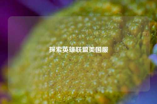探索英雄联盟美国服