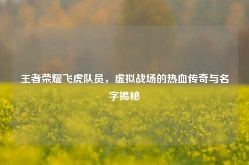 王者荣耀飞虎队员,虚拟战场的热血传奇与名字揭秘