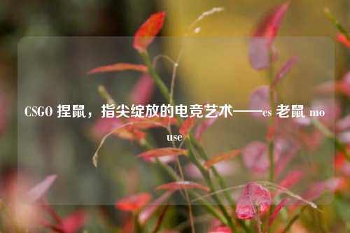 CSGO 捏鼠,指尖绽放的电竞艺术——cs 老鼠 mouse