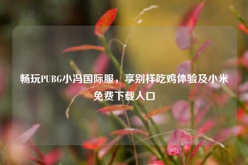 畅玩PUBG小冯国际服，享别样吃鸡体验及小米免费下载入口