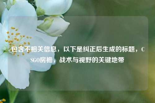 包含不相关信息，以下是纠正后生成的标题，CSGO房檐，战术与视野的关键地带