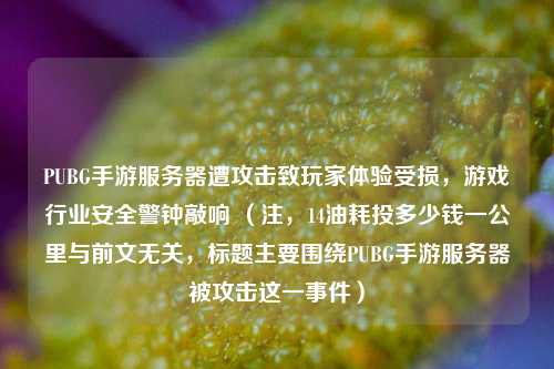 PUBG手游服务器遭攻击致玩家体验受损，游戏行业安全警钟敲响 （注，14油耗投多少钱一公里与前文无关，标题主要围绕PUBG手游服务器被攻击这一事件）