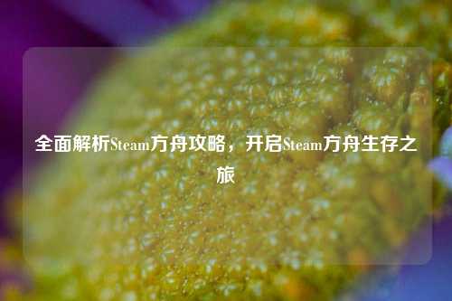 全面解析Steam方舟攻略，开启Steam方舟生存之旅