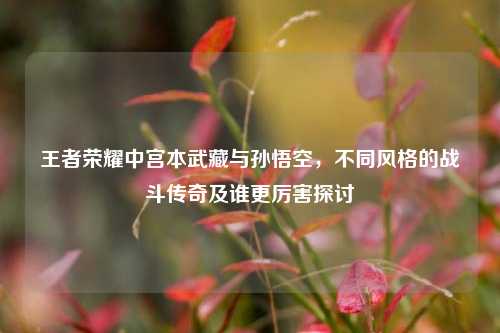 王者荣耀中宫本武藏与孙悟空，不同风格的战斗传奇及谁更厉害探讨