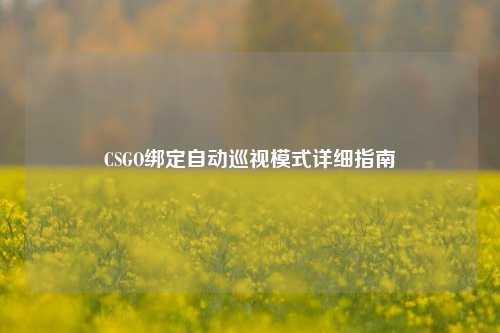 CSGO绑定自动巡视模式详细指南