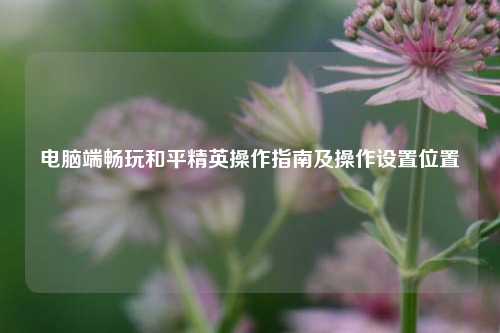 电脑端畅玩和平精英操作指南及操作设置位置