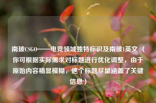 南玻CSGO——电竞领域独特标识及南玻1英文 （你可根据实际需求对标题进行优化调整，由于原始内容稍显模糊，这个标题尽量涵盖了关键信息）