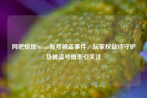 网吧惊现Steam账号被盗事件，玩家权益待守护及被盗号概率引关注