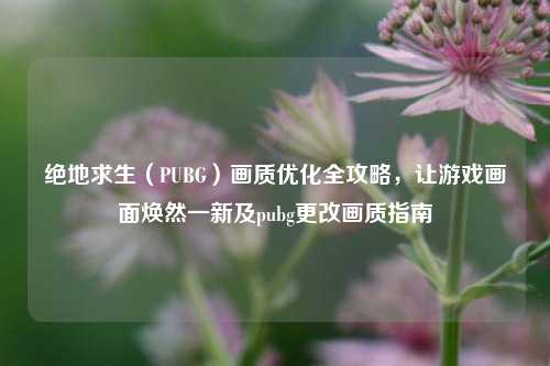 绝地求生(PUBG)画质优化全攻略,让游戏画面焕然一新及pubg更改画质指南