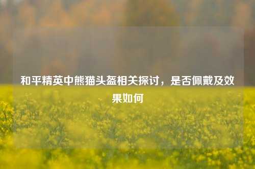 和平精英中熊猫头盔相关探讨，是否佩戴及效果如何
