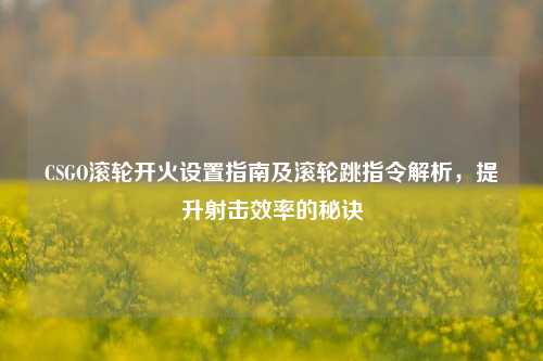 CSGO滚轮开火设置指南及滚轮跳指令解析，提升射击效率的秘诀