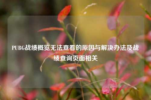 PUBG战绩概览无法查看的原因与解决办法及战绩查询页面相关