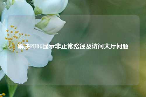 解决PUBG显示非正常路径及访问大厅问题