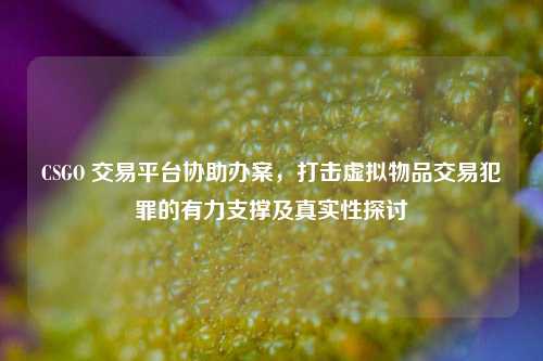 CSGO 交易平台协助办案,打击虚拟物品交易犯罪的有力支撑及真实性探讨