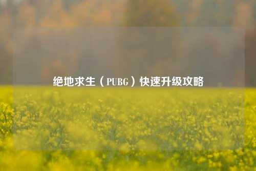 绝地求生（PUBG）快速升级攻略
