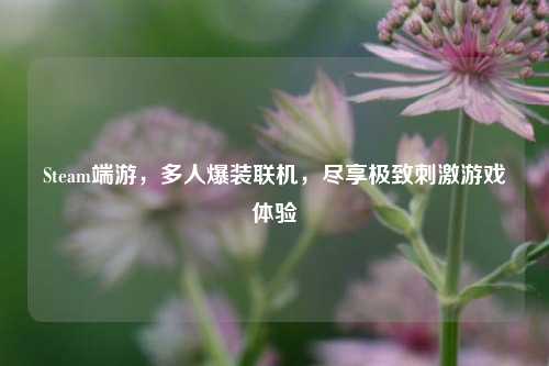 Steam端游，多人爆装联机，尽享极致刺激游戏体验