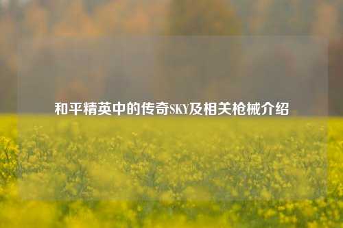 和平精英中的传奇SKY及相关枪械介绍