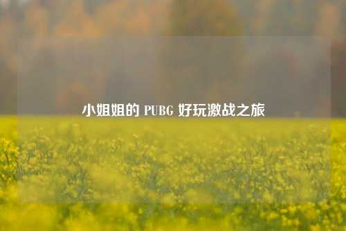 小姐姐的 PUBG 好玩激战之旅