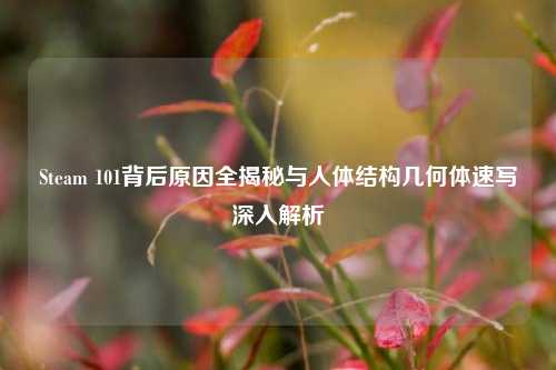 Steam 101背后原因全揭秘与人体结构几何体速写深入解析