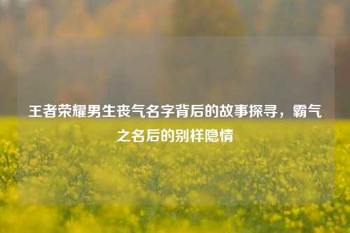 王者荣耀男生丧气名字背后的故事探寻,霸气之名后的别样隐情