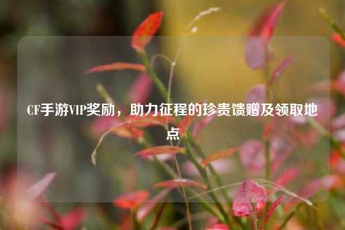 CF手游VIP奖励，助力征程的珍贵馈赠及领取地点