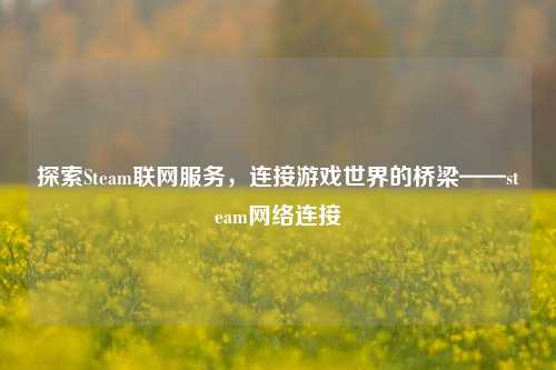 探索Steam联网服务,连接游戏世界的桥梁——steam网络连接