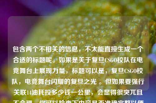 包含两个不相关的信息，不太能直接生成一个合适的标题呢。如果是关于复旦CSGO校队在电竞舞台上展现力量，标题可以是，复旦CSGO校队，电竞舞台闪耀的复旦之光 。但如果要强行关联14油耗投多少钱一公里，会显得很突兀且不合理，你可以检查下内容是否准确完整以便更精准生成标题。