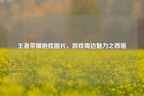 王者荣耀抱枕图片，游戏周边魅力之西施